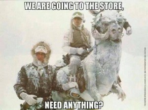 tauntaun